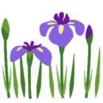 ５月のカレンダーを作る（５月１１日）